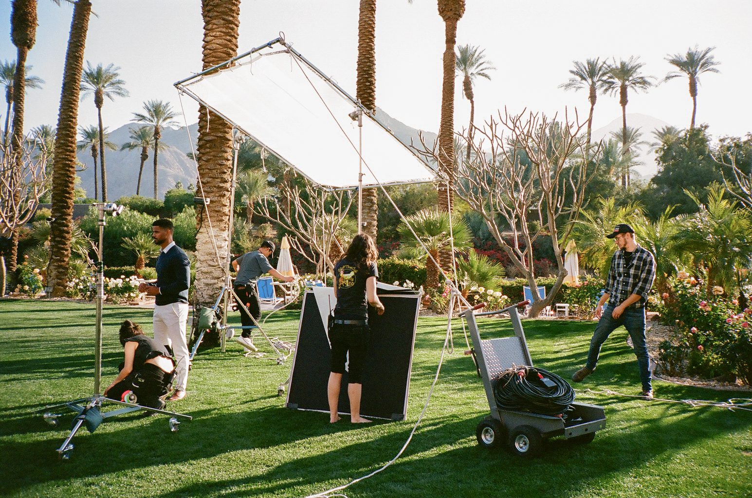 Crew rigging an overhead silk on a resort lawn among palm trees